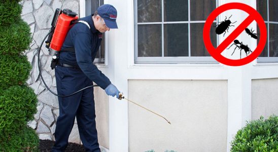 Toprakkale Hamam Böceği İlaçlama böcek ilaçlama ve haşere kontrolü — ilaclama-tr.com
